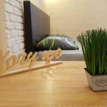 New Luxury Studio Apartment อิวาโน-ฟรานกิฟสเก ภายนอก รูปภาพ